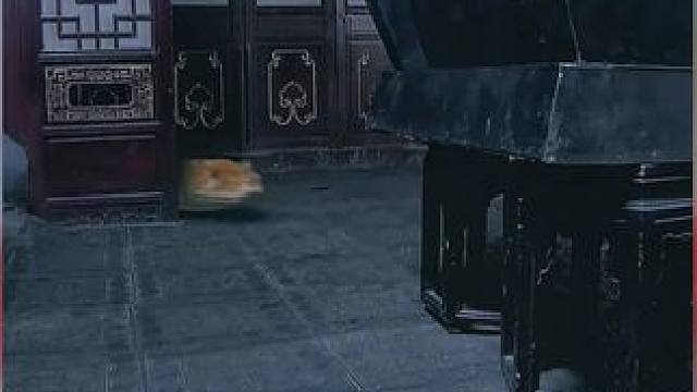 可看完整版 大结局太精彩了...《西瓜视频》，观看精彩后续《西瓜视频》，观看精彩后续