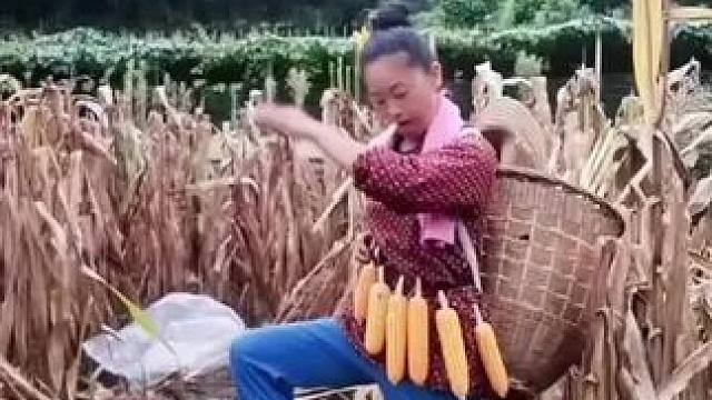 山卡卡里的农村大姐学费了开直播每天收获满满您还在恐播怕播不敢开播开播了不知说什么吗#记录真实生活 #