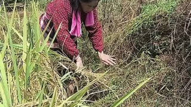 我发布了一个新视频，快来围观吧！