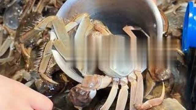 重庆国庆比打卡