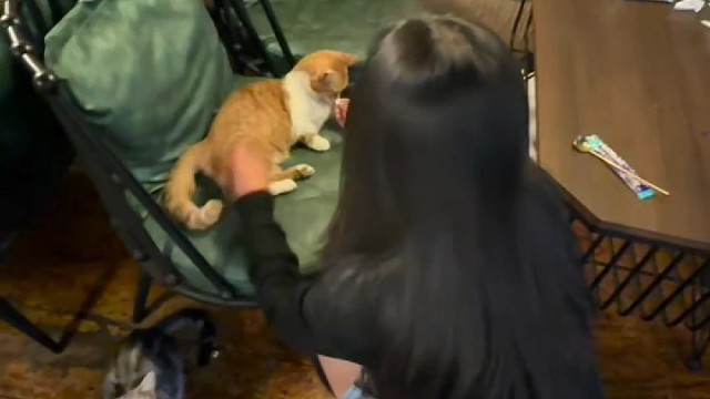 直到你的眼底 成为我下一次的雨季