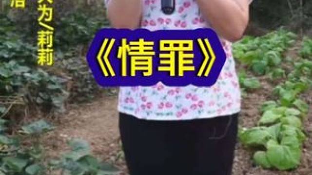 #现场演唱 #唱歌主播 #歌曲 #《情罪》
作品来自悄悄直播《情罪》。