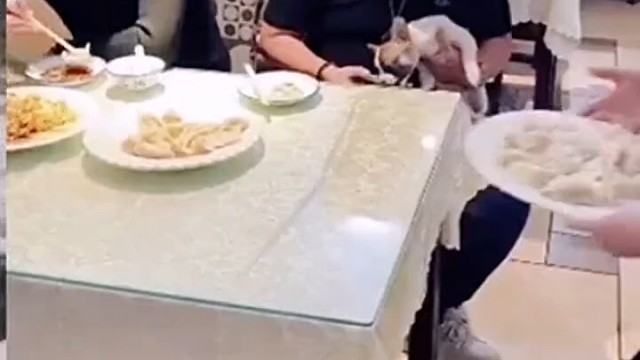 不能嫌弃他儿子，说的对，没毛病[捂脸]