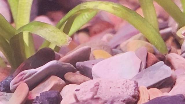 勒是哪首歌的前奏？有几个人晓得