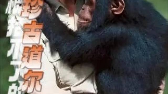 珍古道尔去世 #珍古道尔去世 珍古道尔课本上的一页根本无法描述 你这波澜壮阔的一生#自然 #生物 #