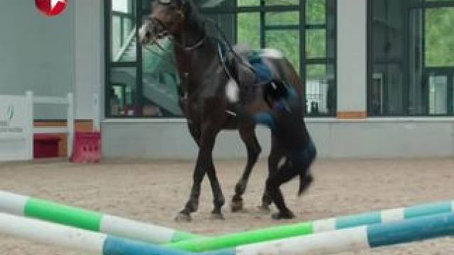 沈皓辰摔马受伤，而陪同前往的许妍拍到了摔马的整个过程。许妍发现沈皓辰竟然是故意松开脚蹬，从马上摔下来