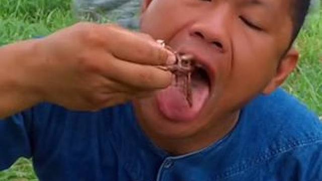 水煮牛胎盘 #美食 #泰国美食 #户外美食 #内容启发搜索