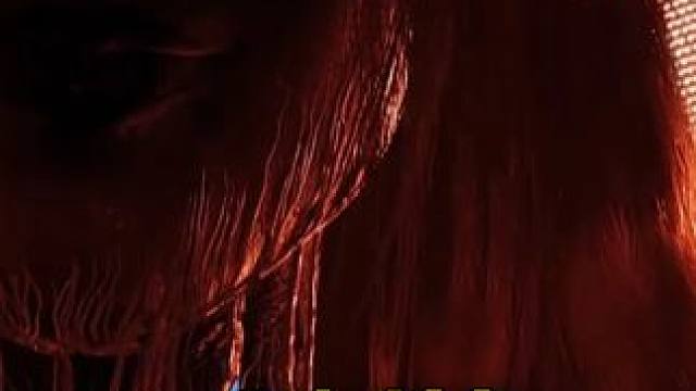 请选择你需要的物品！ #明日之后 #明日之后第七季