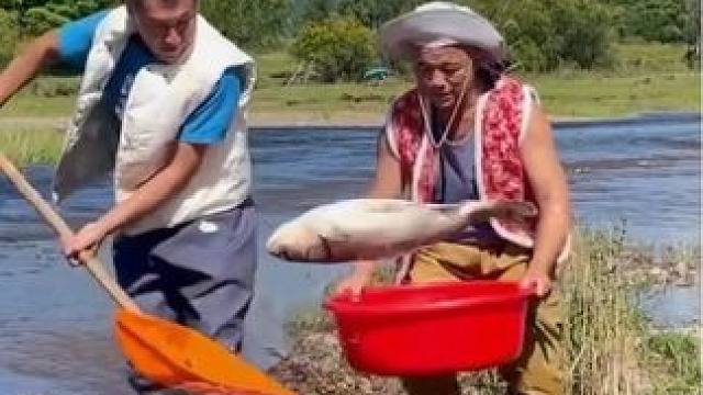 #户外抓鱼 #户外捕鱼 #抓鱼