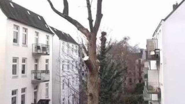 我发布了一个新视频，快来围观吧！