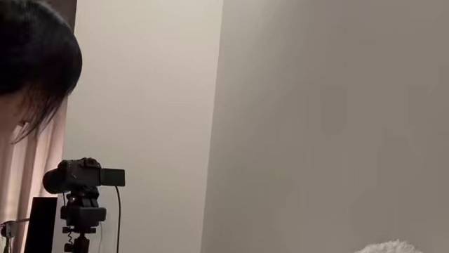 我的小猫有自己的绝对音感