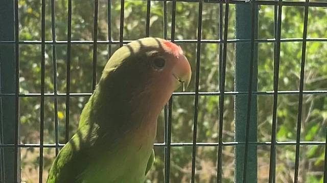 #人与自然和谐共处