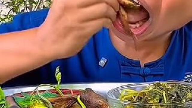 泰式咖喱煮鸡纵菌