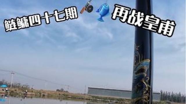 来喽来喽 鲢鳙四十七期《再战黄甫》！
#钓鱼的乐趣只有钓鱼人懂 #鲢鳙添加剂 #我的钓鱼之路