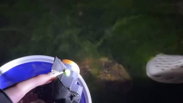 #下一站 找个男朋友陪我去旅行～