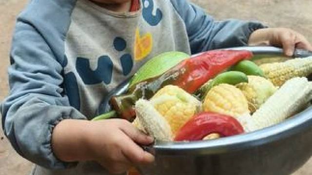 自己种的包谷不怎么好。#农村娃