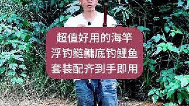 狼王溯极X5钓鱼竿海杆抛竿大物远投海竿套装鲢鏞竿海钓巨物海竿 狼王溯极X5钓鱼竿海杆抛竿大物远投海竿