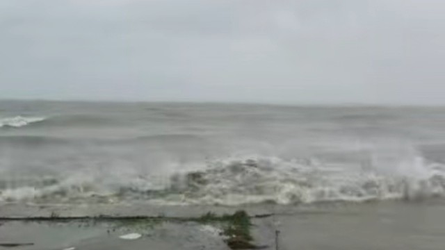 这回真靠海吃海啦‍