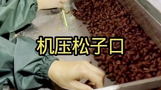 松子原來不是自然裂開的