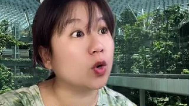 这个新加坡也太小了吧