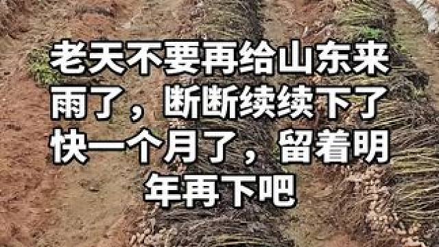 山东雨量够了，龙王歇歇吧！