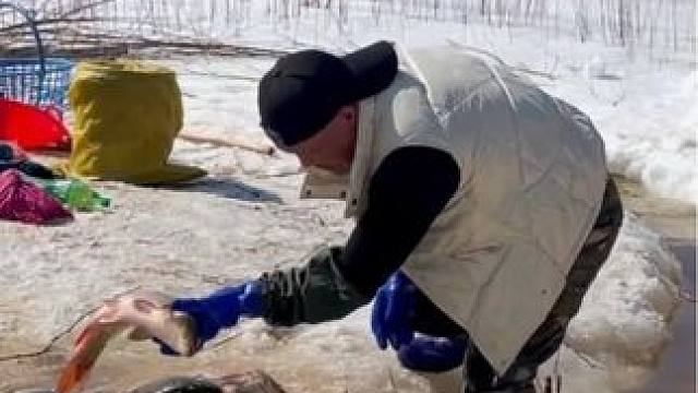 #户外抓鱼 #户外捕鱼