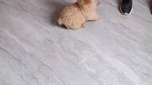 我发布了一个新视频，快来围观吧！