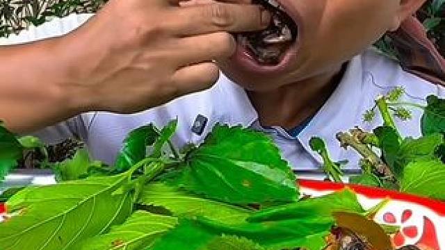 泰式咖喱煮牛蛙