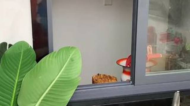 蜗牛自动清洗篮 蜗牛自动清洗篮，有了它，以后洗水果可就太方便了，自动洗干净还能自动沥水，#沥水篮  