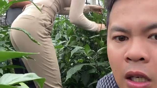 这身条要什么自行车