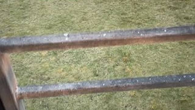 九敏，它是不是跟你朋友一样欠揍