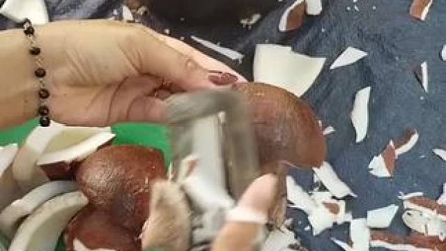 我发布了一个新视频，快来围观吧！