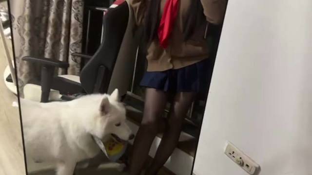 可爱(*ෆ´˘`ෆ*)♡