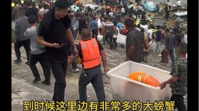 宿迁市嶂山闸十月7号迎来了万人捕鱼，现场是人山人海，真的非常的壮观！人也多鱼也多！#嶂山闸