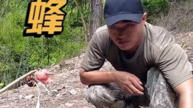 走出城市沉浸体验野外的刺激与放松 古法寻踪掏马蜂窝，美味野餐户外露营#大山里的味道 #马蜂窝 #户外