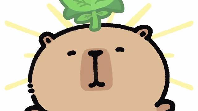 近期的礼物合集