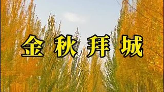 漫步于秋天的乡间小路上听秋风 看落叶#秋天 #治愈系 #落叶 #金秋十月 #自然风光