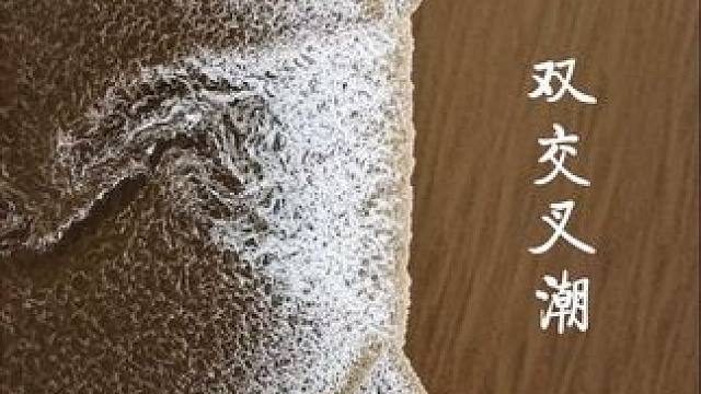 寒露至，秋潮涌！钱塘江“四潮合一”壮阔再现，献礼观潮盛会！#四潮合一 #钱塘江大潮 #寒露 #观潮节