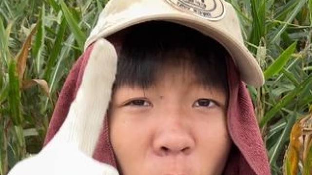 放你一亩一你敢玩吗