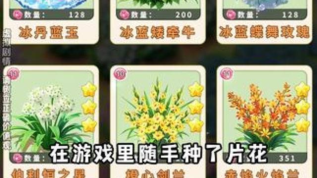 这块地让我重新爱上了生活 #我的花园世界   #种花就送真花