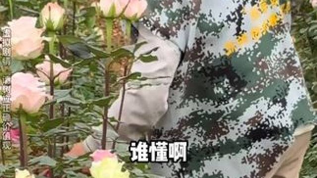 菜园里的天气系统也太真实了 #我的花园世界   #种花就送真花