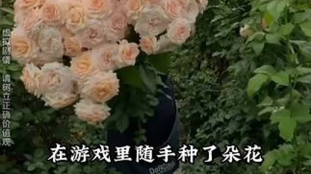 在菜园里遇到了社交牛逼症 #我的花园世界   #种花就送真花