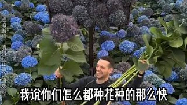 终于种出了会发光的魔法植物