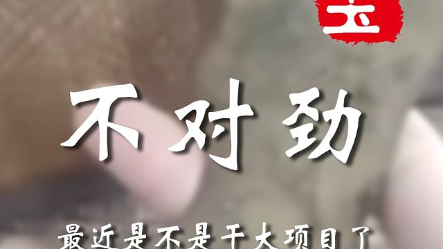 你小子不对劲啊