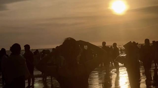 邓布利多 你说得对 爱是世界上最伟大的魔法