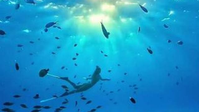 海底世界真奇妙