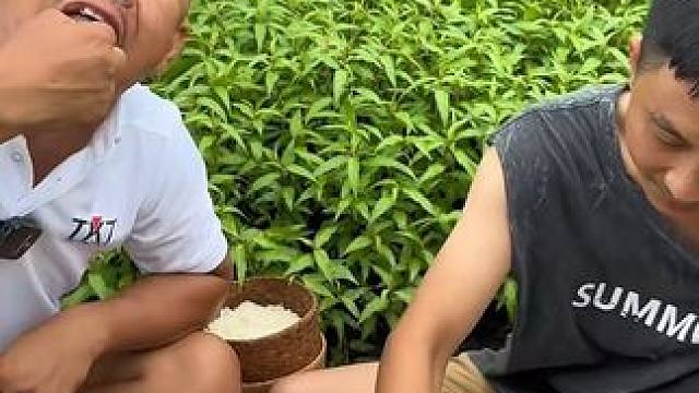 和朋友吃香米饭牛瘪酱汁大块鲜牛肝 #美食 #泰国美食 #户外美食 #内容启发搜索