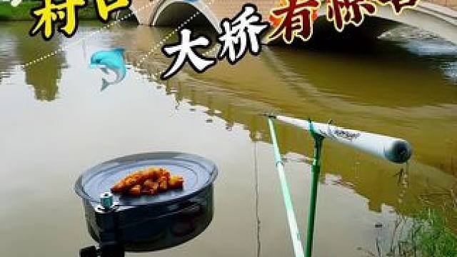 村口大桥有惊喜 户外钓鱼野钓