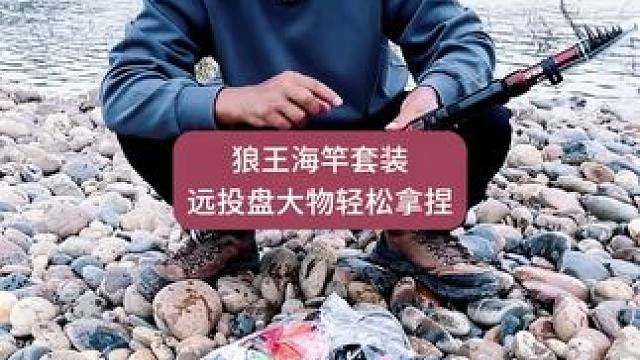 狼王海竿套装远投盘大物轻松拿捏，海杆抛竿大物远投海竿套装 狼王海竿套装远投盘大物轻松拿捏，海杆抛竿大