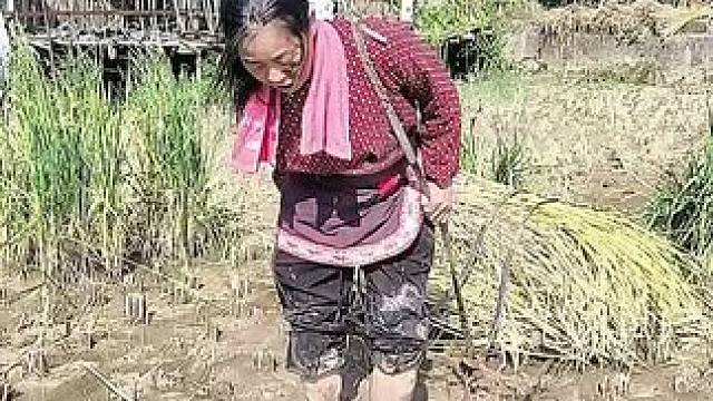 山卡卡里的农村大姐学费了开直播每天收获满满您还在恐播怕播不敢开播开播了不知说什么吗#记录真实生活 #